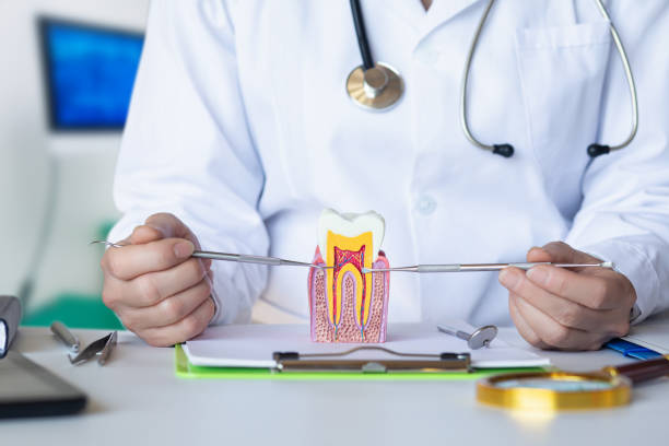 Best Cracked Tooth Emergency Dentist  in Cedar Glen West, NJ